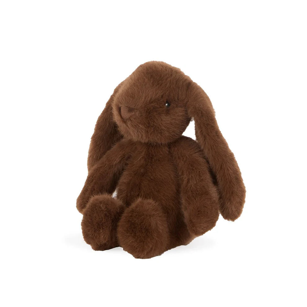 Holly & Ivy Jasper Chocolate Bunny