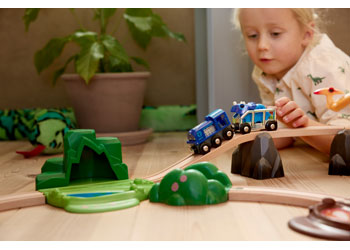 BRIO Special Edition Train (2025)