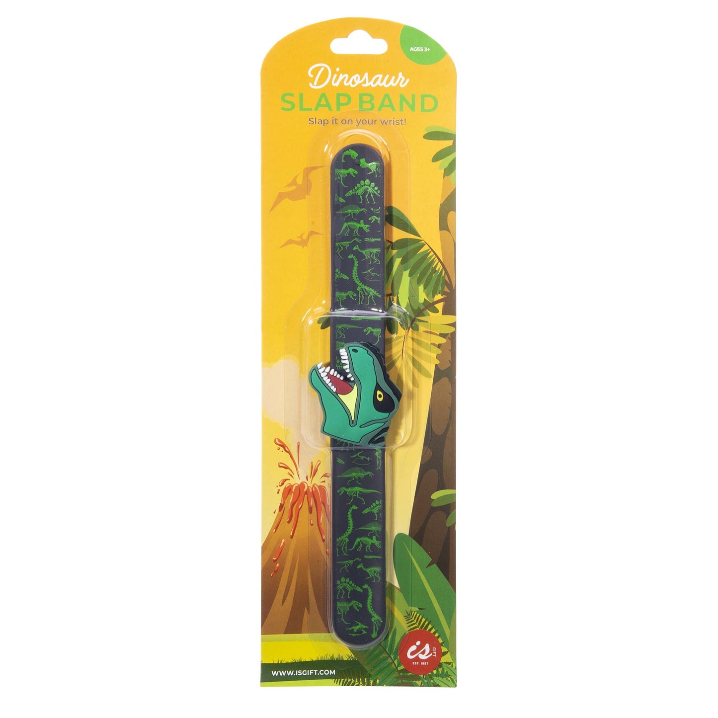 Dinosaur Slap Band