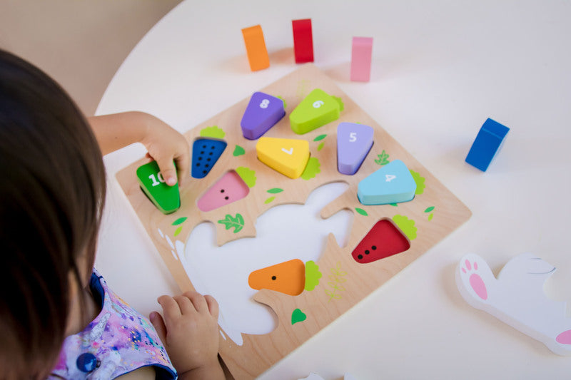 Kiddie Connect Wooden Puzzle 123 Carrot