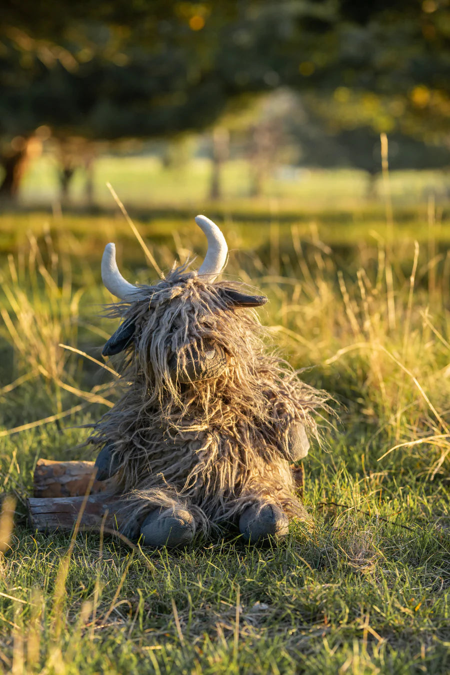 Nana Huchy Henry the Highland Cow Charcoal