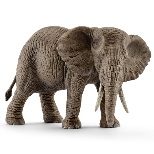 Schleich African Elephant Femal
