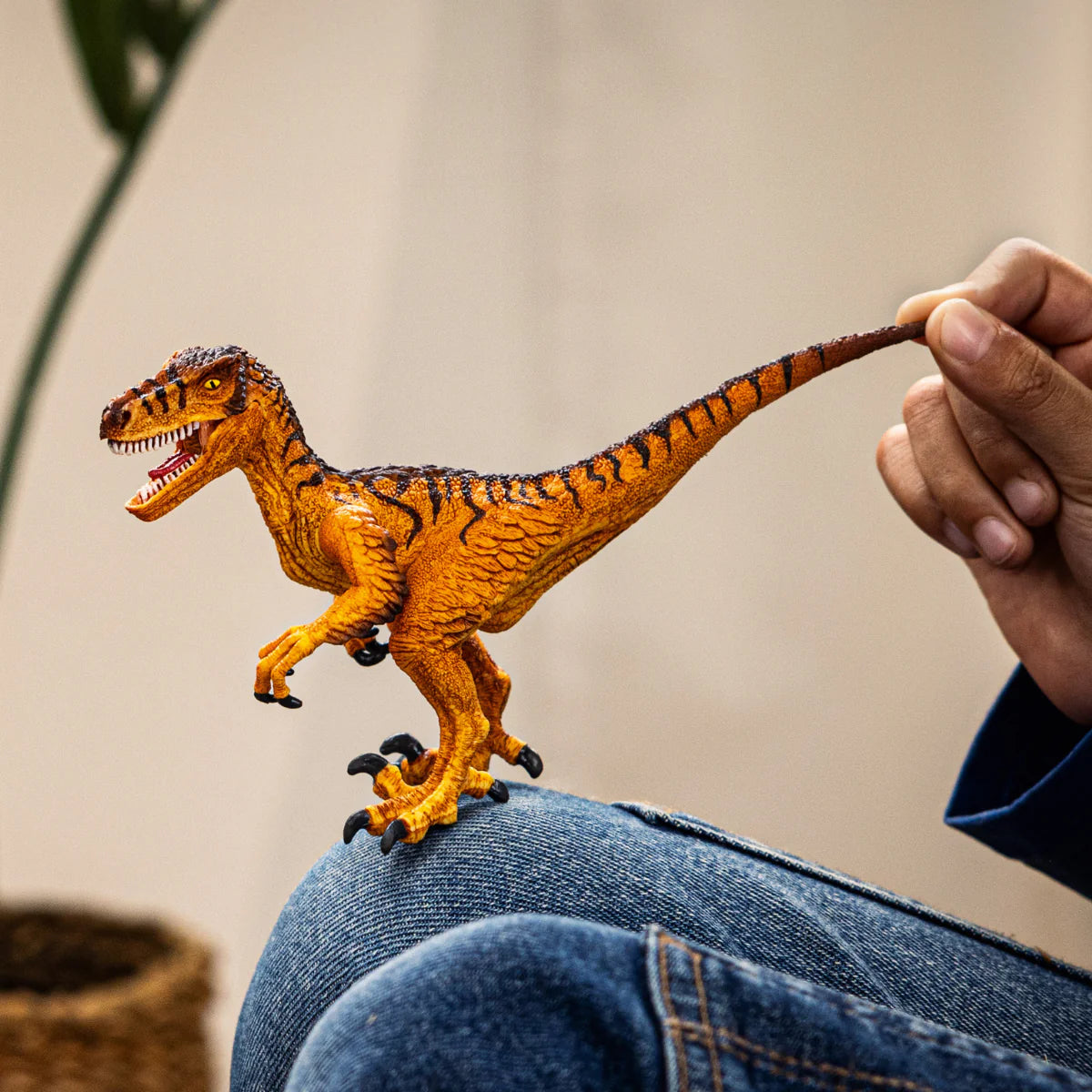 Schleich Velociraptor (2025 Edition)