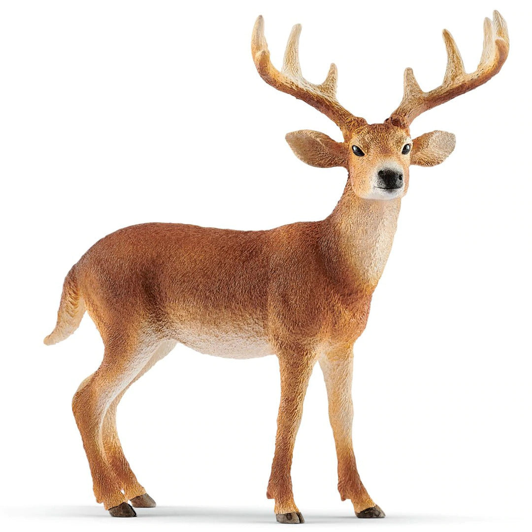 Schleich Fox White Tailed Buck