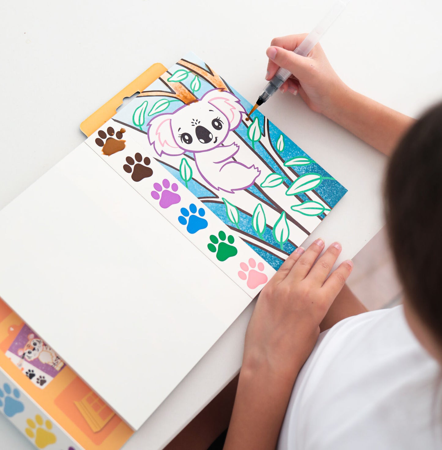Tiger Tribe Paint A Picture Set Wild Animals
