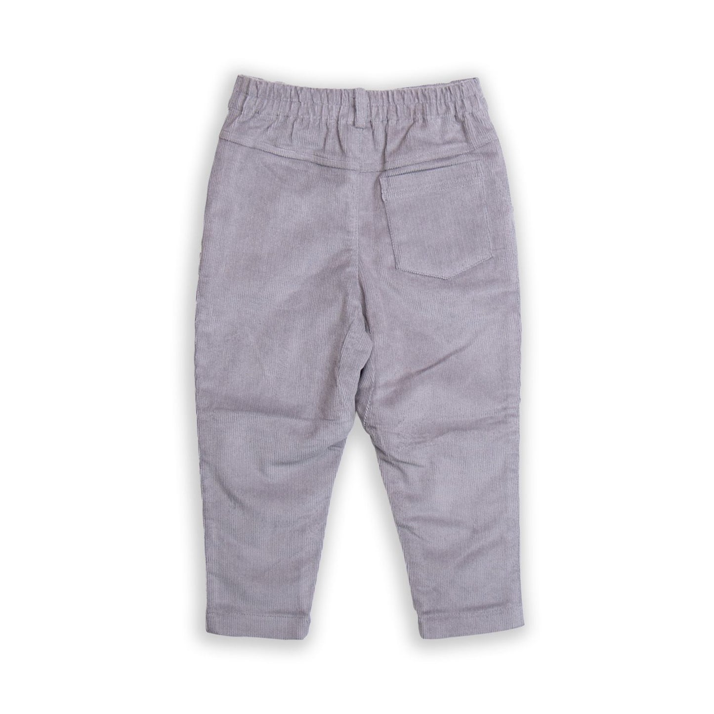 Tiny Twig Stretchy Pant Drizzle