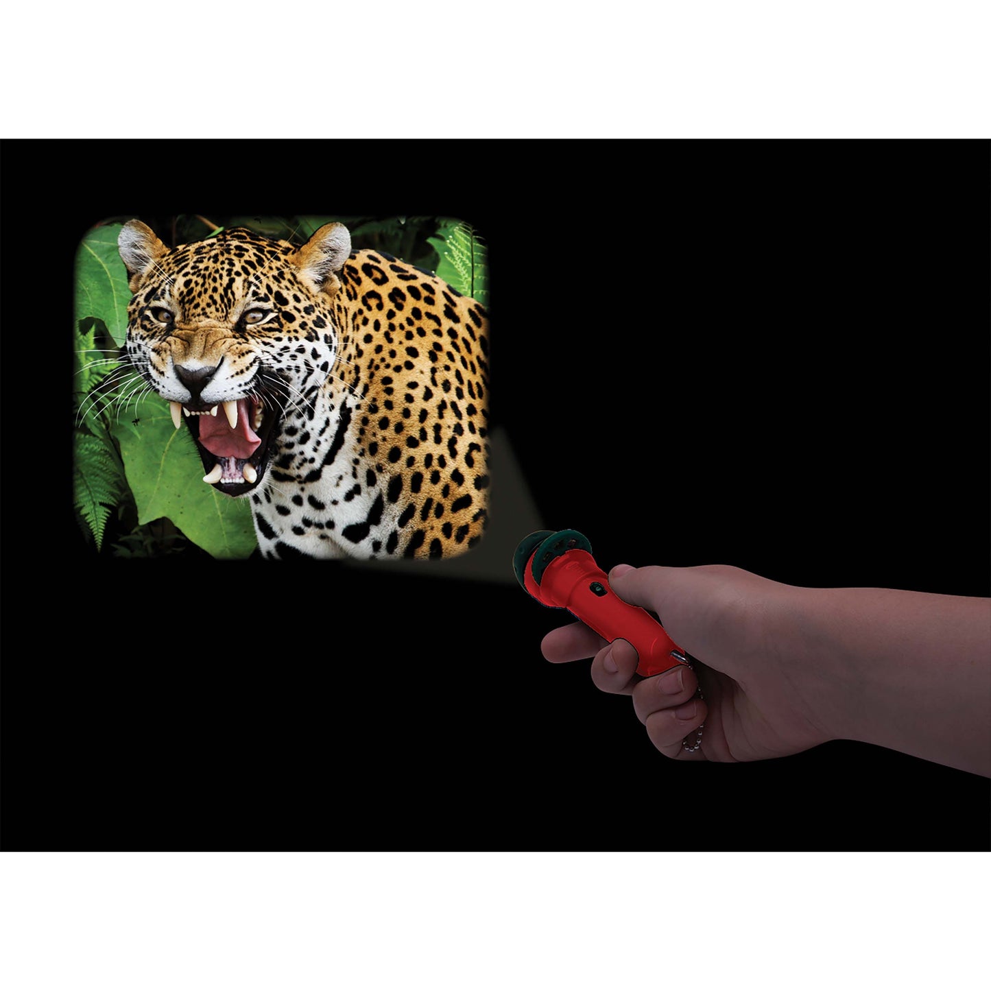 Torch Projector - Wild Things