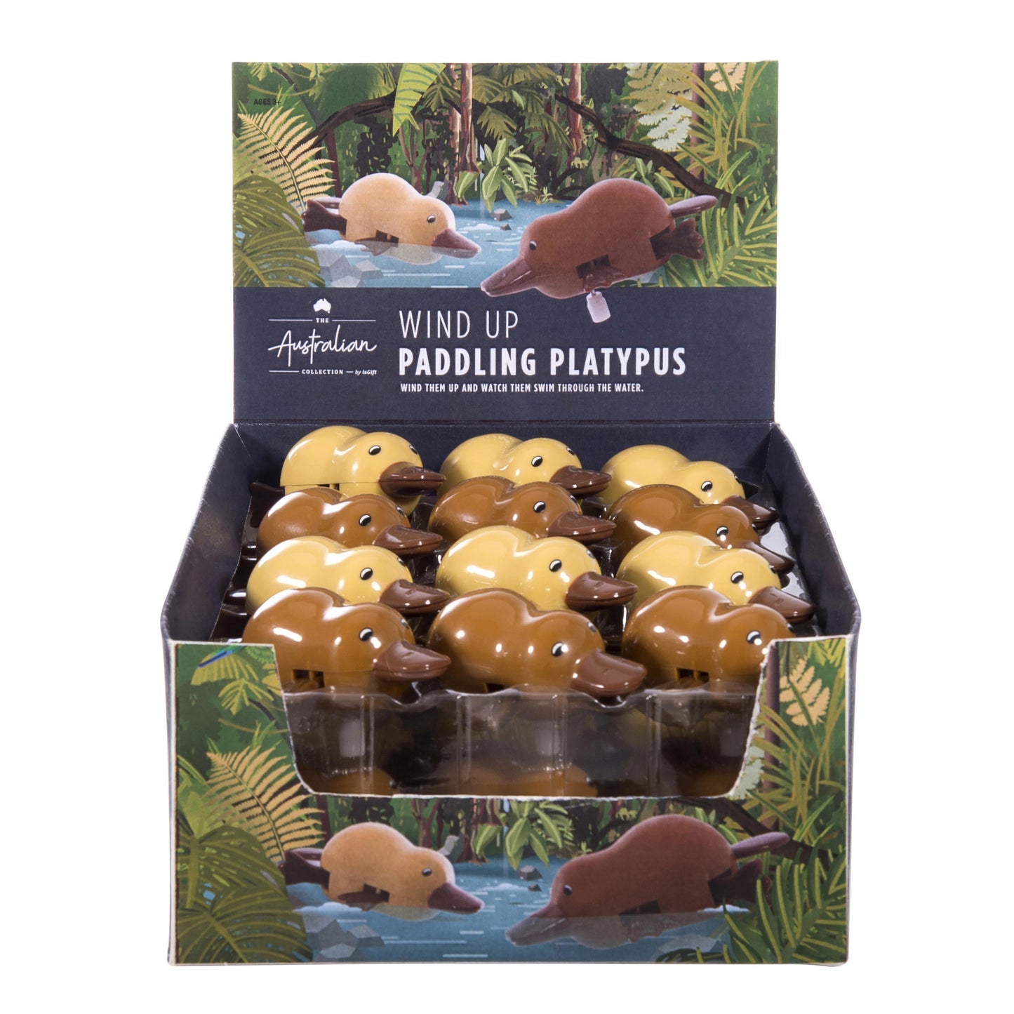 Wind Up Paddling Platypus
