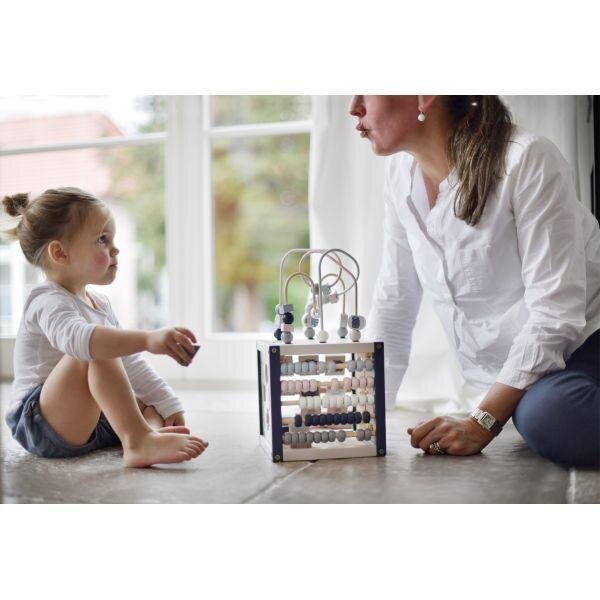 EverEarth First Multi Play Activity Cube