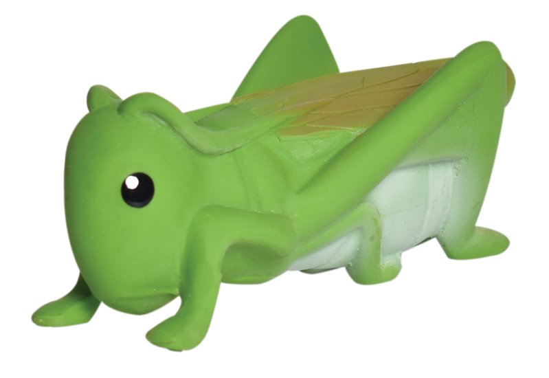Tikiri Garden Buddies Teethers
