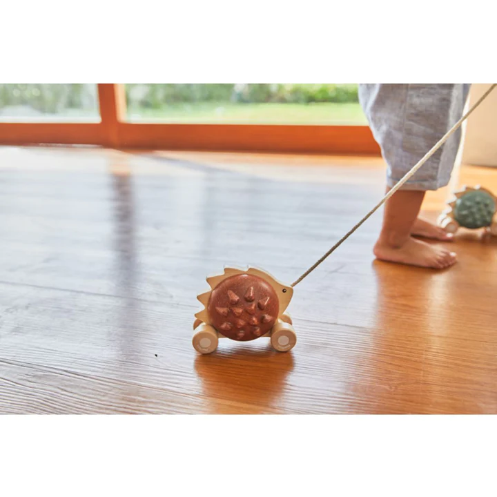 PlanToys Pull Along Hedgehog