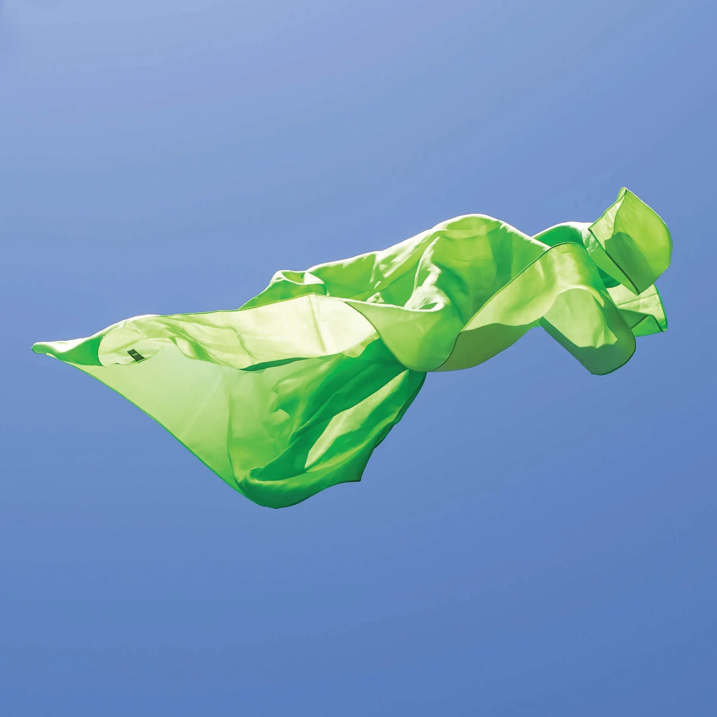 Play Silkie