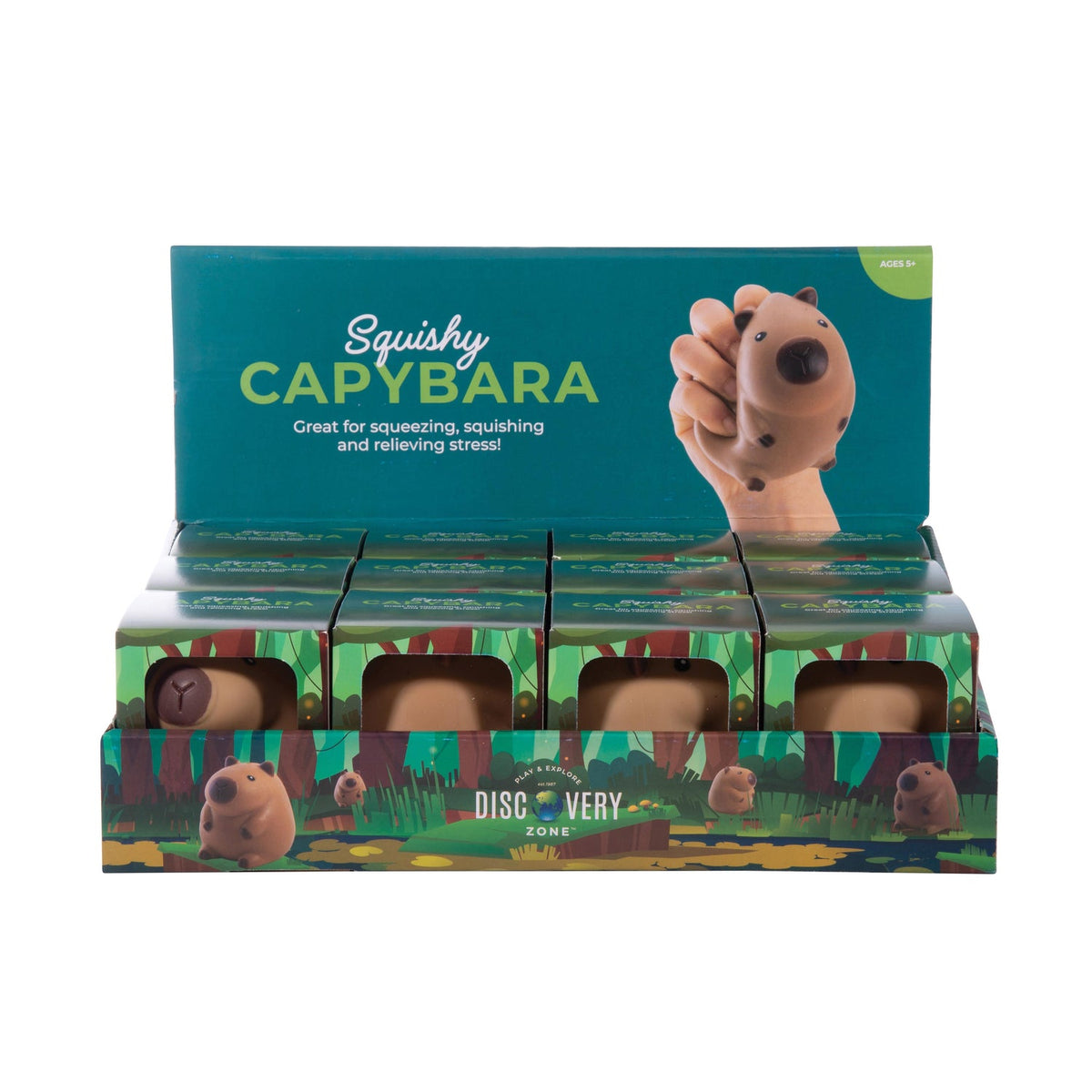 Discovery Zone Squishy Capybara