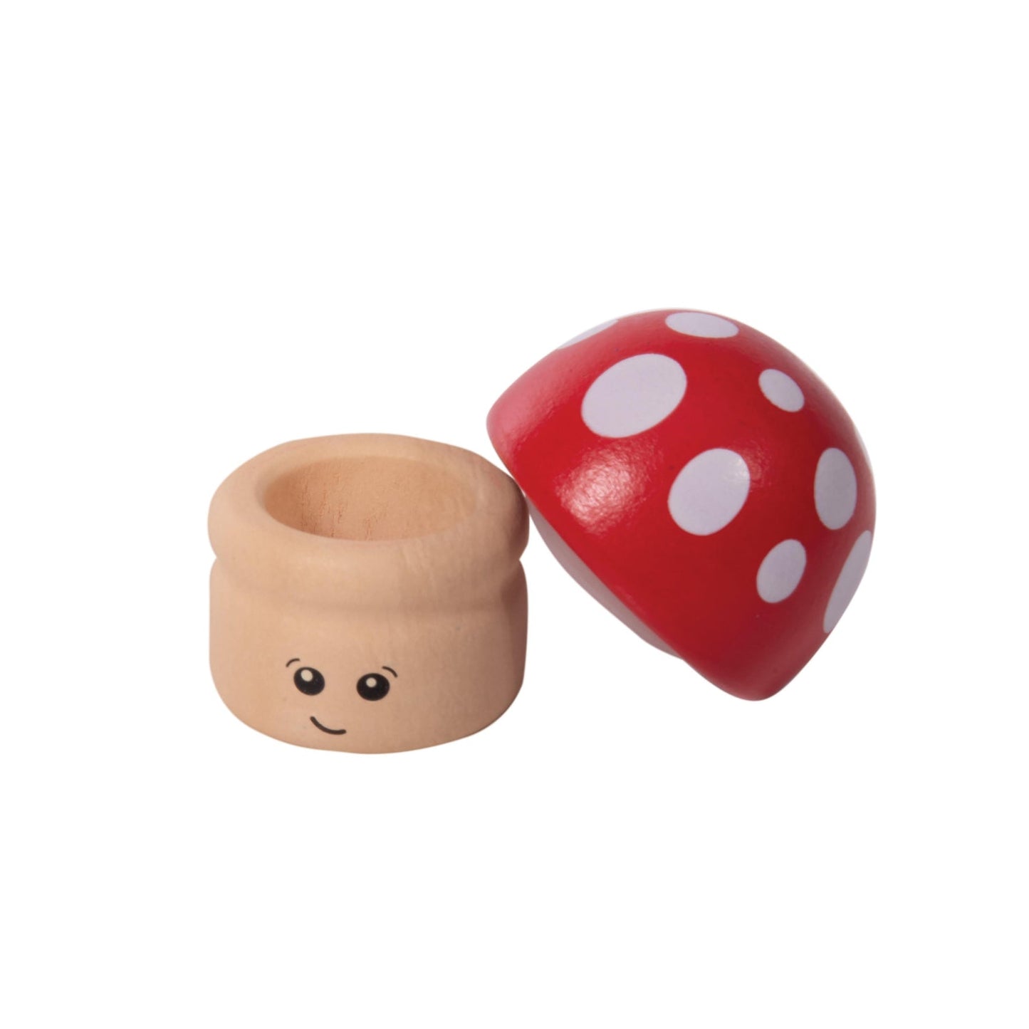 Discovery Zone Make Wooden Toadstool Tooth Fairy Box