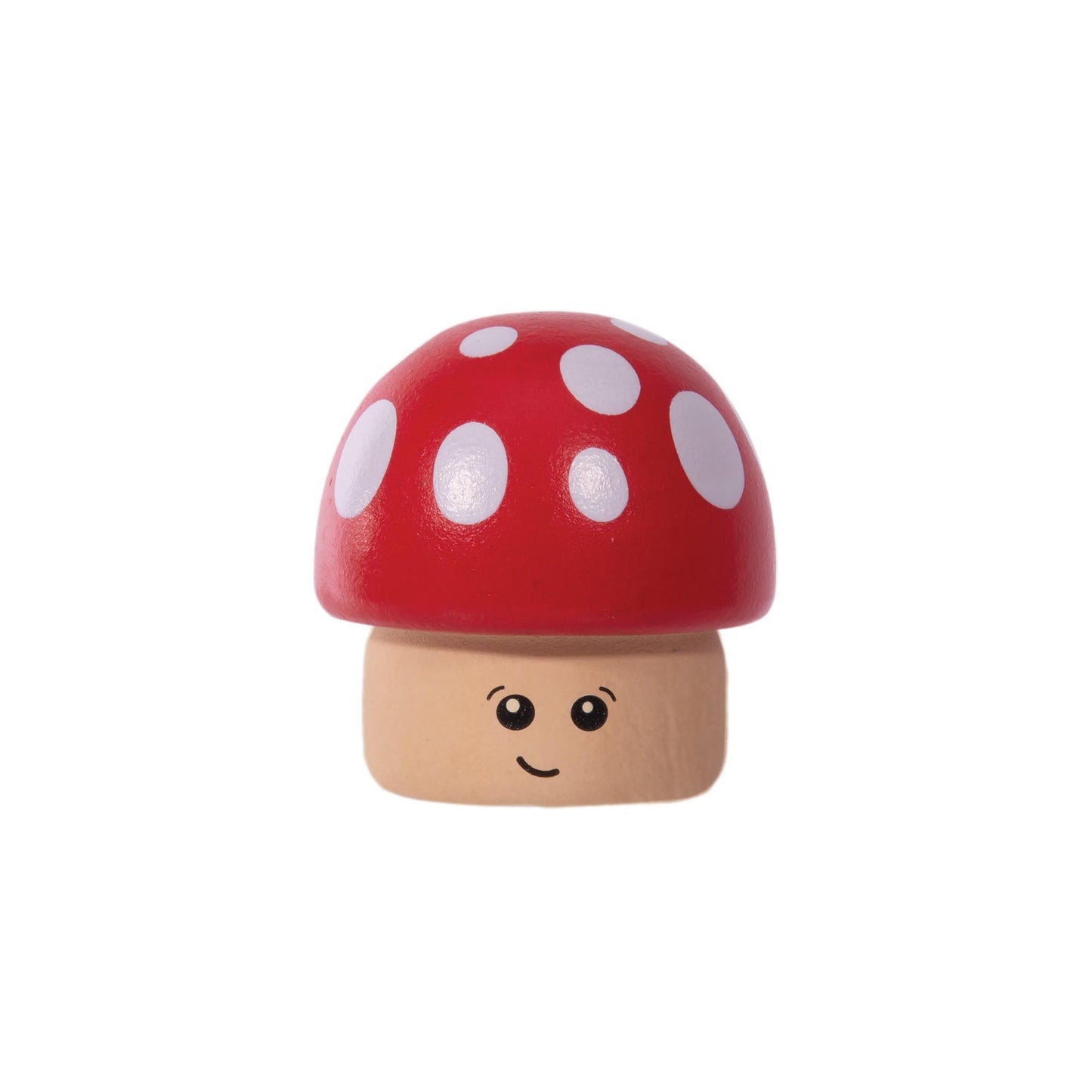 Discovery Zone Make Wooden Toadstool Tooth Fairy Box