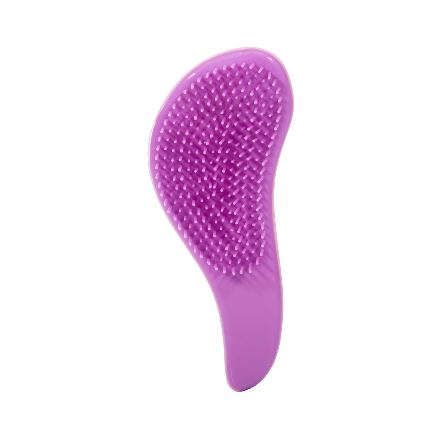 Discovery Zone Fairy Detangling Hairbrush