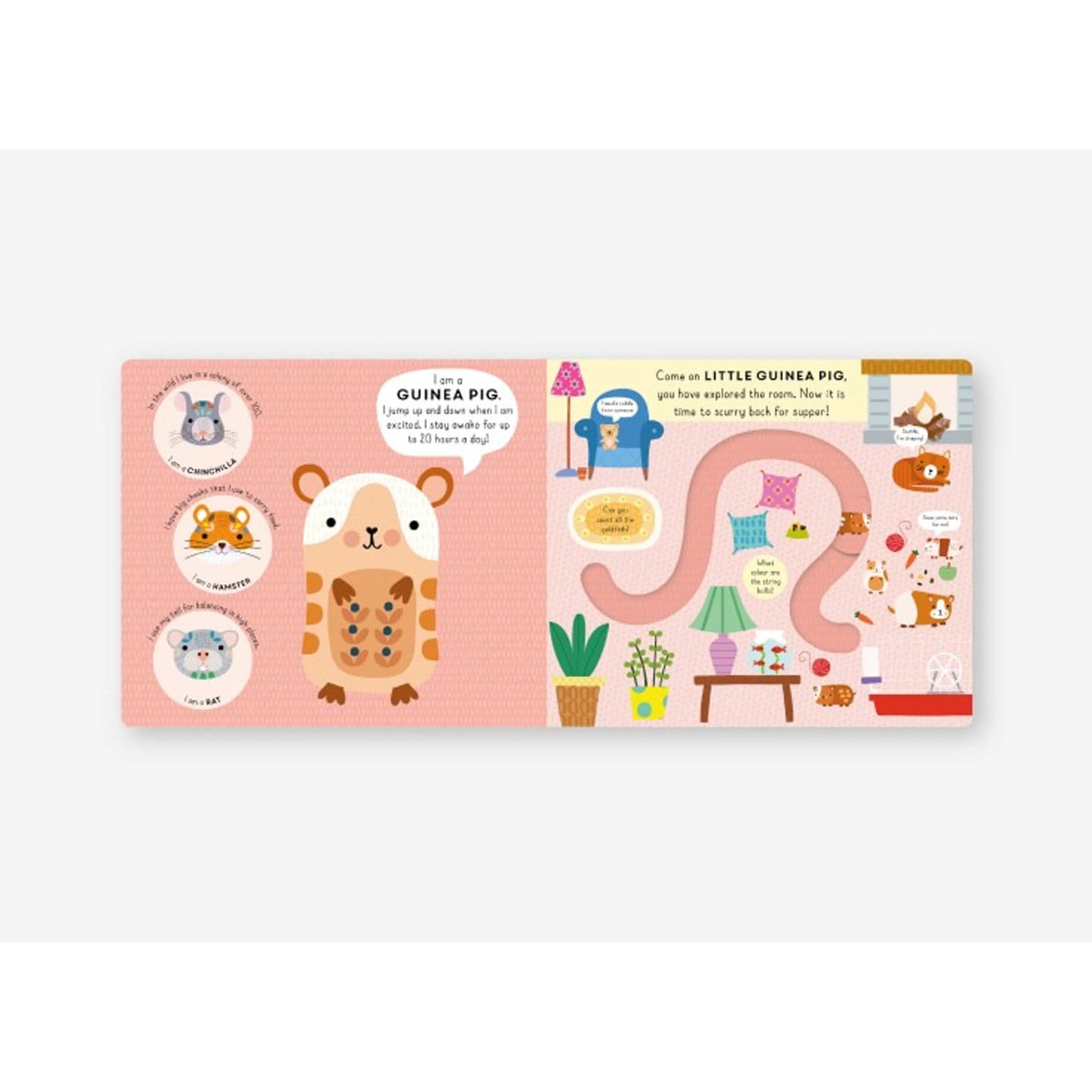Little Journeys Book - Little Puppy