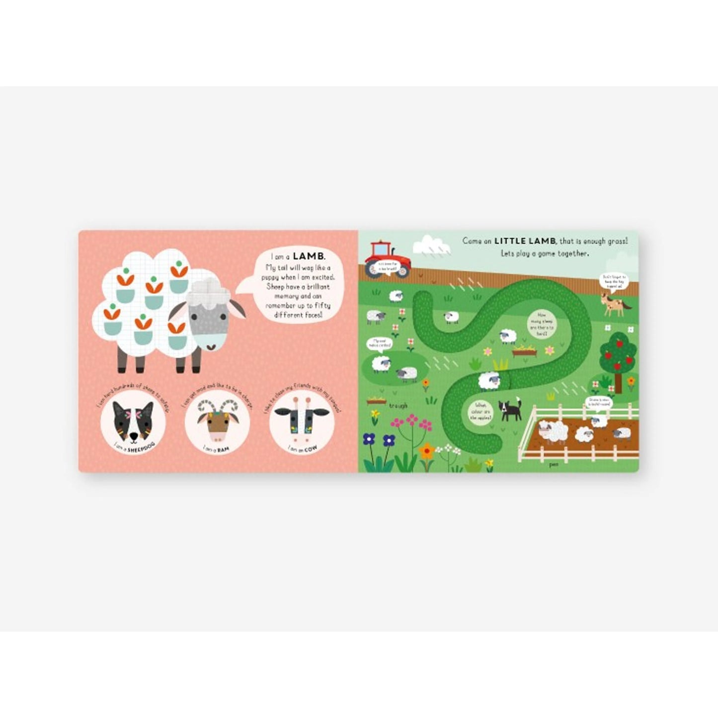 Little Journeys Book - Little Duck