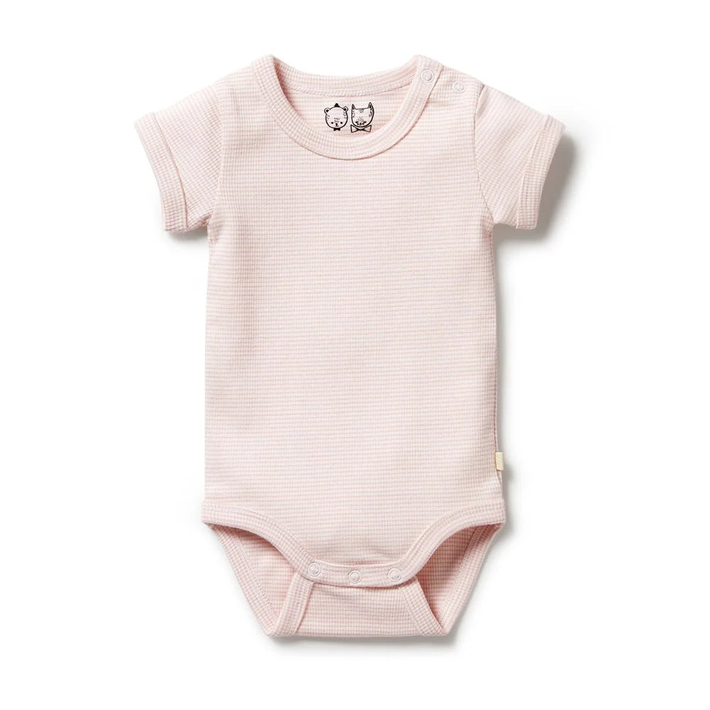 Wilson & Frenchy Organic Stripe Bodysuit