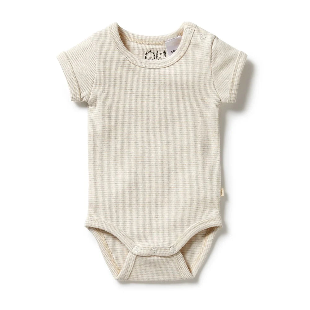 Wilson & Frenchy Organic Stripe Bodysuit
