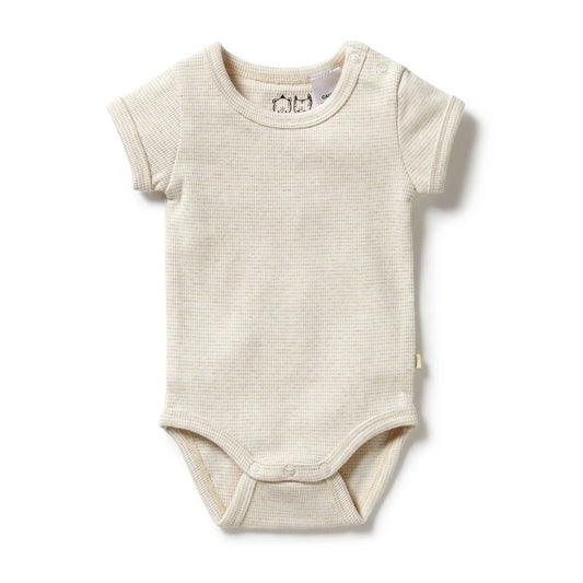 Wilson & Frenchy Organic Stripe Bodysuit