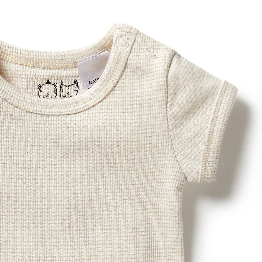 Wilson & Frenchy Organic Stripe Bodysuit
