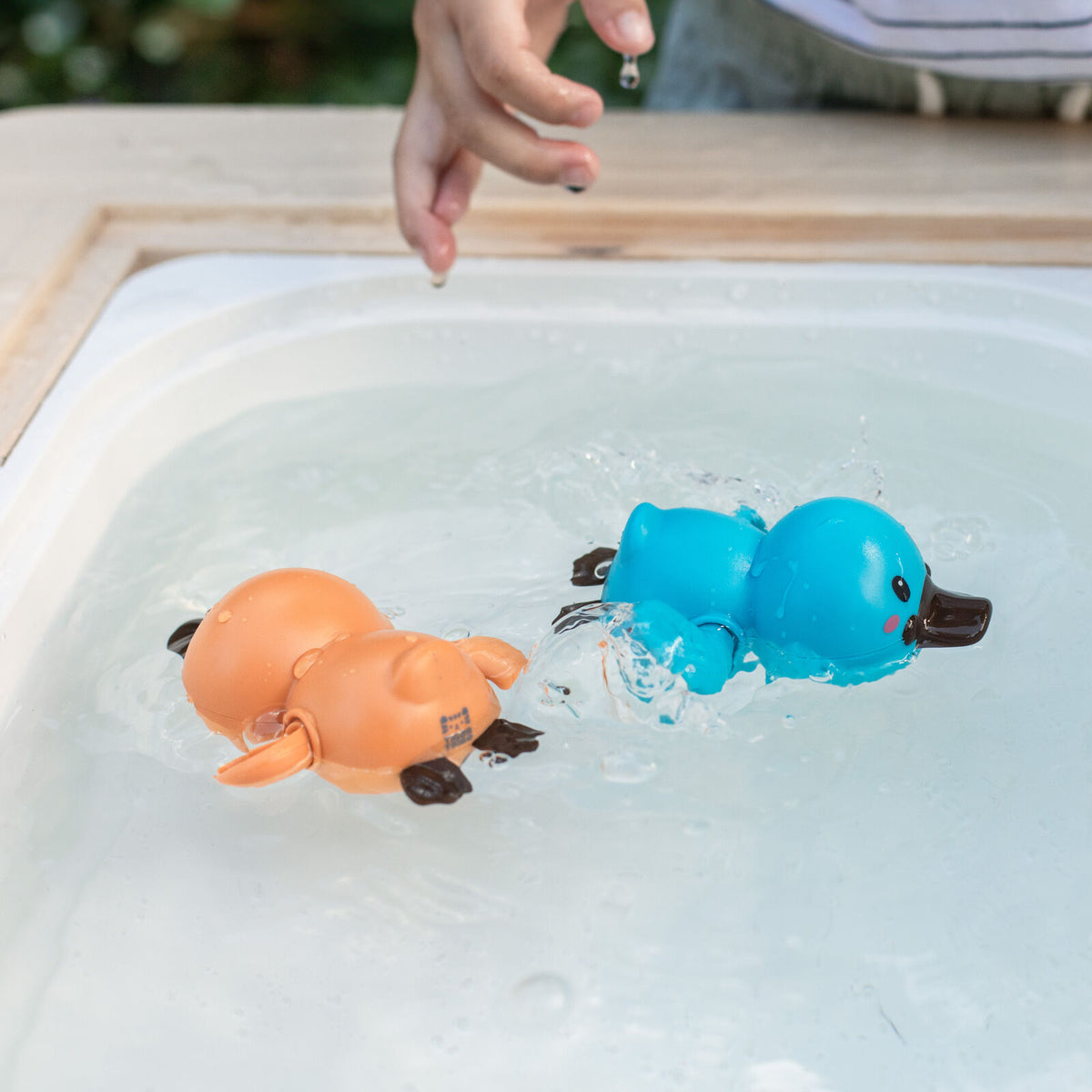 Tiger Tribe Platypus Bath Racers