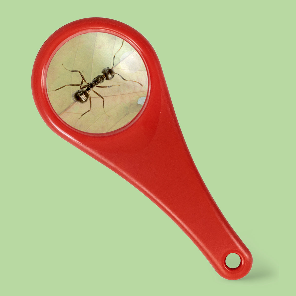 Tiger Tribe Explorer Magnifying Glass
