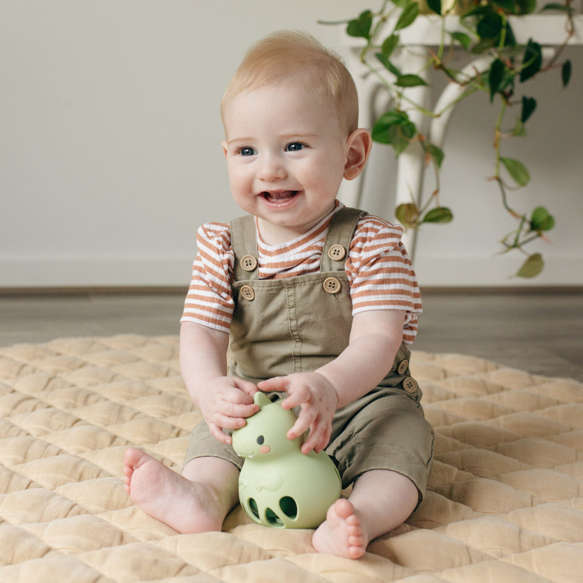 Tiger Tribe Silicone Rattle Dino