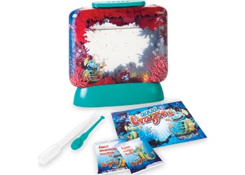 Aqua Dragons Underwater World Box Kit