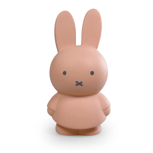 Atelier Pierre Miffy Money Box Powder