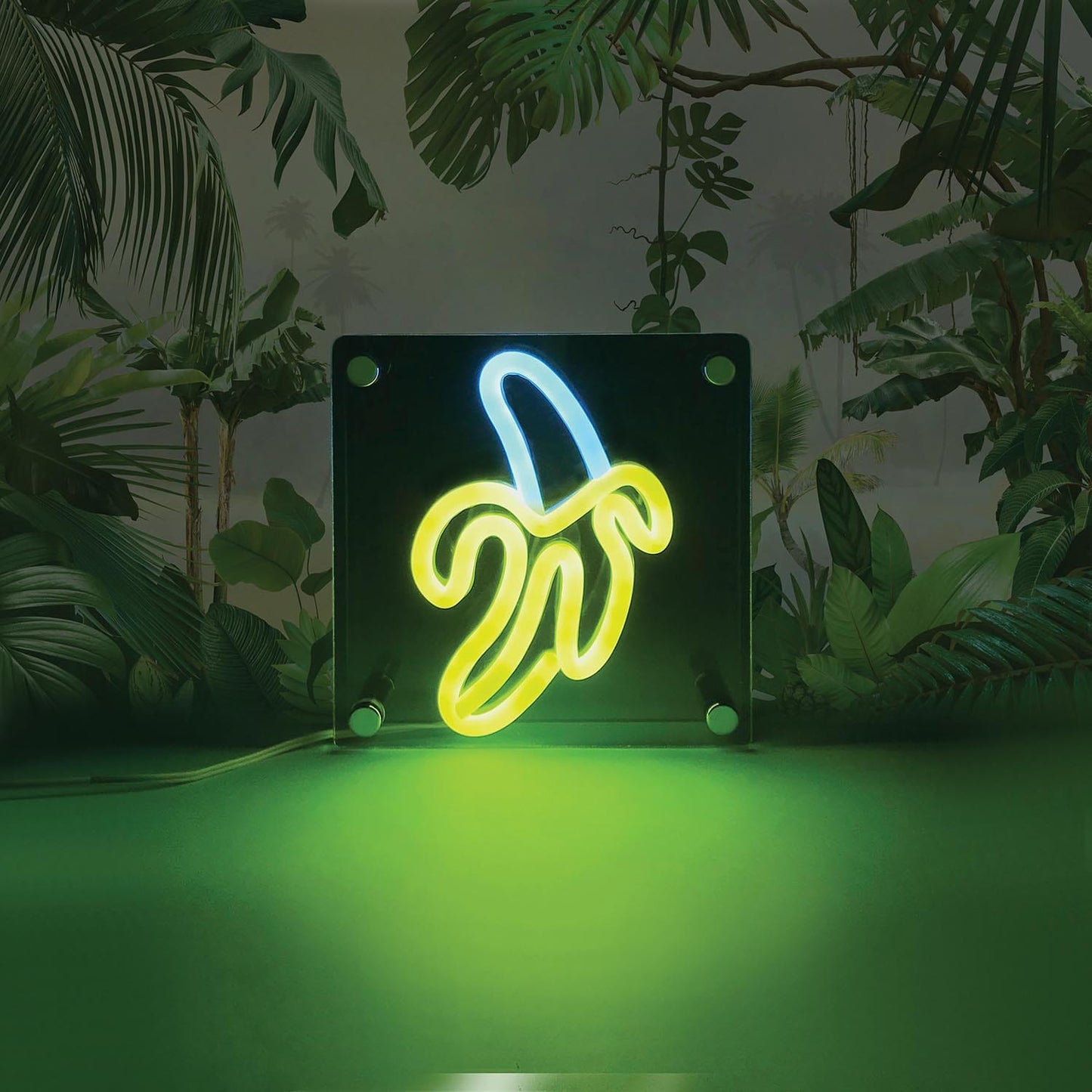 Discovery Zone Banana Acrylic Light