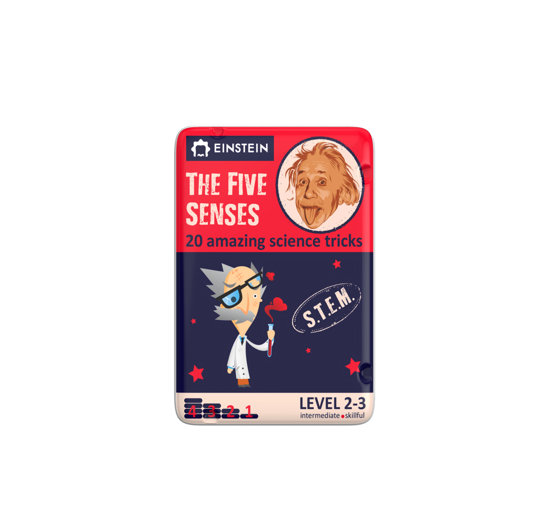 Einstein The Five Senses Science Activity Cards