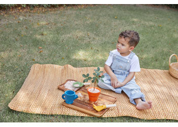 PlanToys Gardening Set