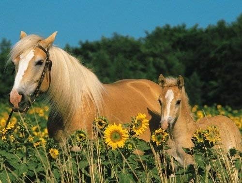 Ravensburger 200pc Jigsaw Puzzle Horse Happiness