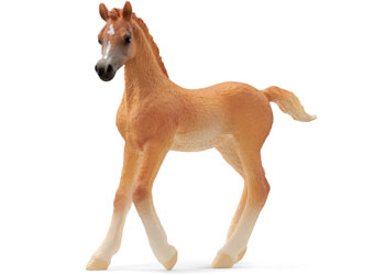 Schleich Arabian Foal