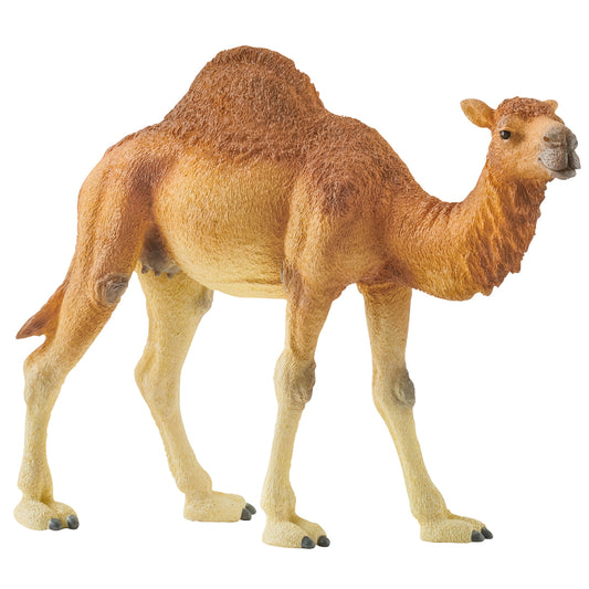 Schleich Dromedary