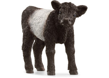 Schleich Galloway Calf