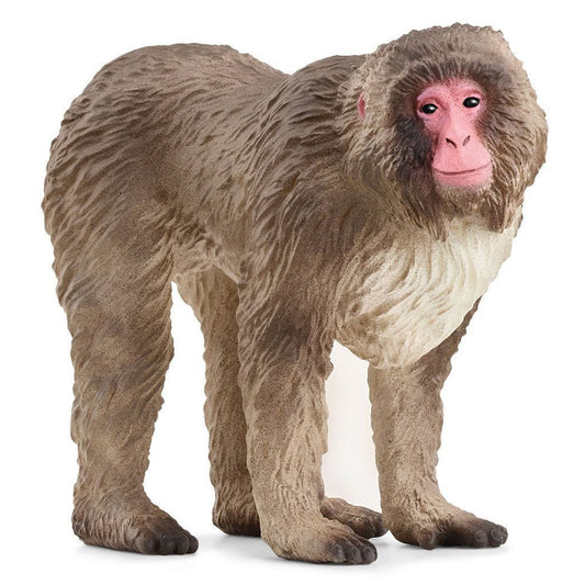 Schleich Japanese Macaque