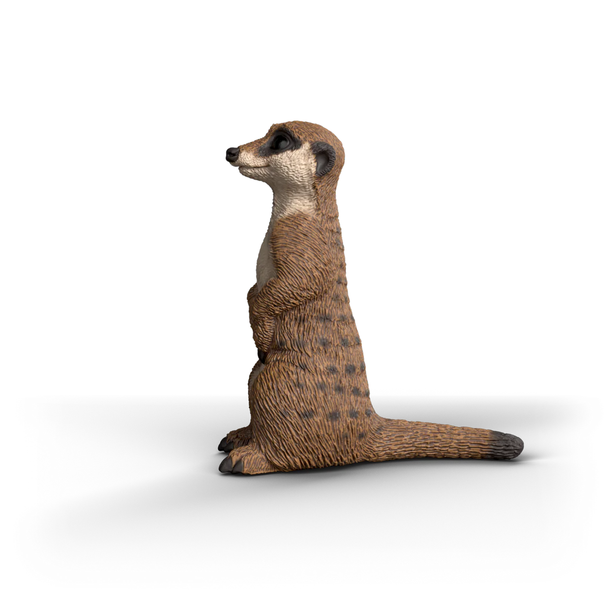 Schleich Meerkat