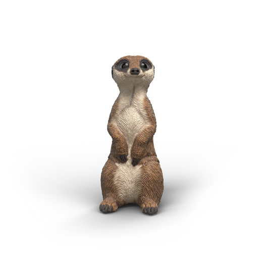 Schleich Meerkat