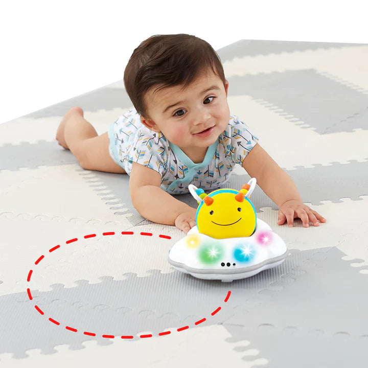 Skip Hop Explore and More Follow Bee Crawl Toy