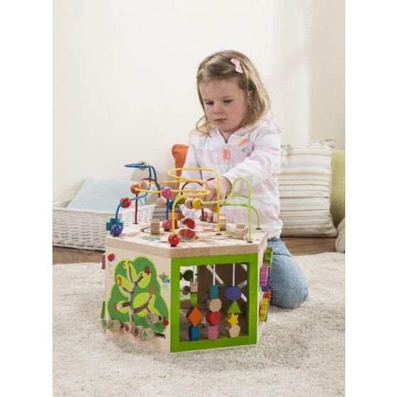 EverEarth 7 Sided Activity Cube