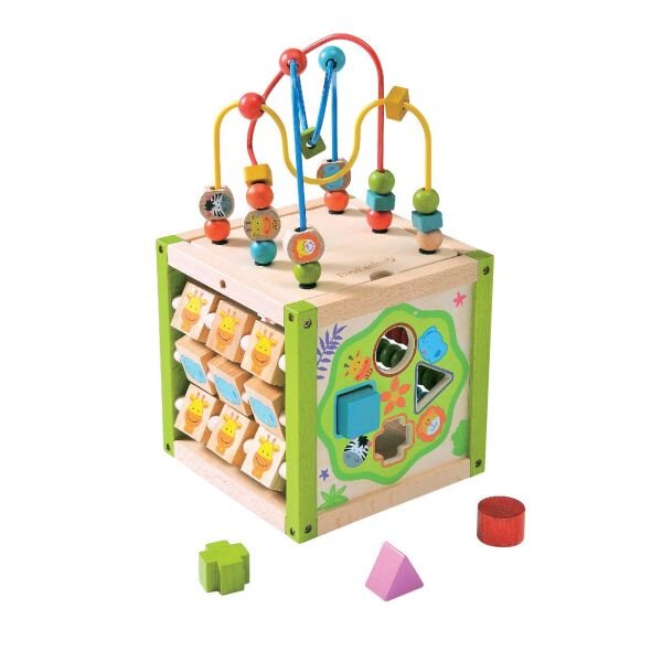 EverEarth First Multi Play Activity Cube
