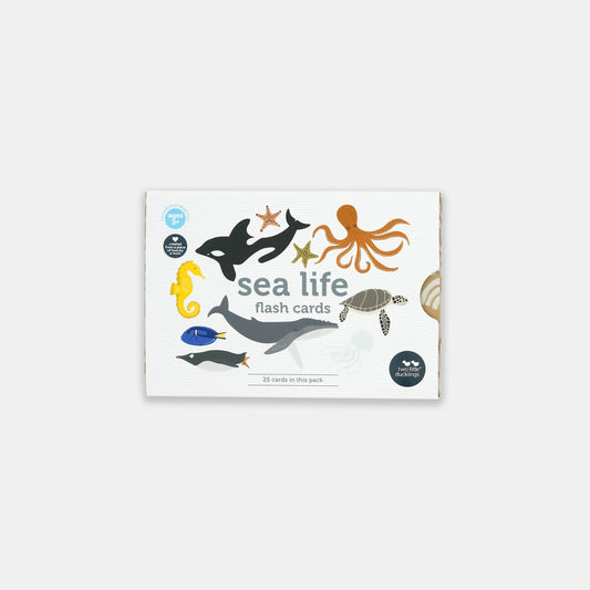 Flash Cards Sea Life