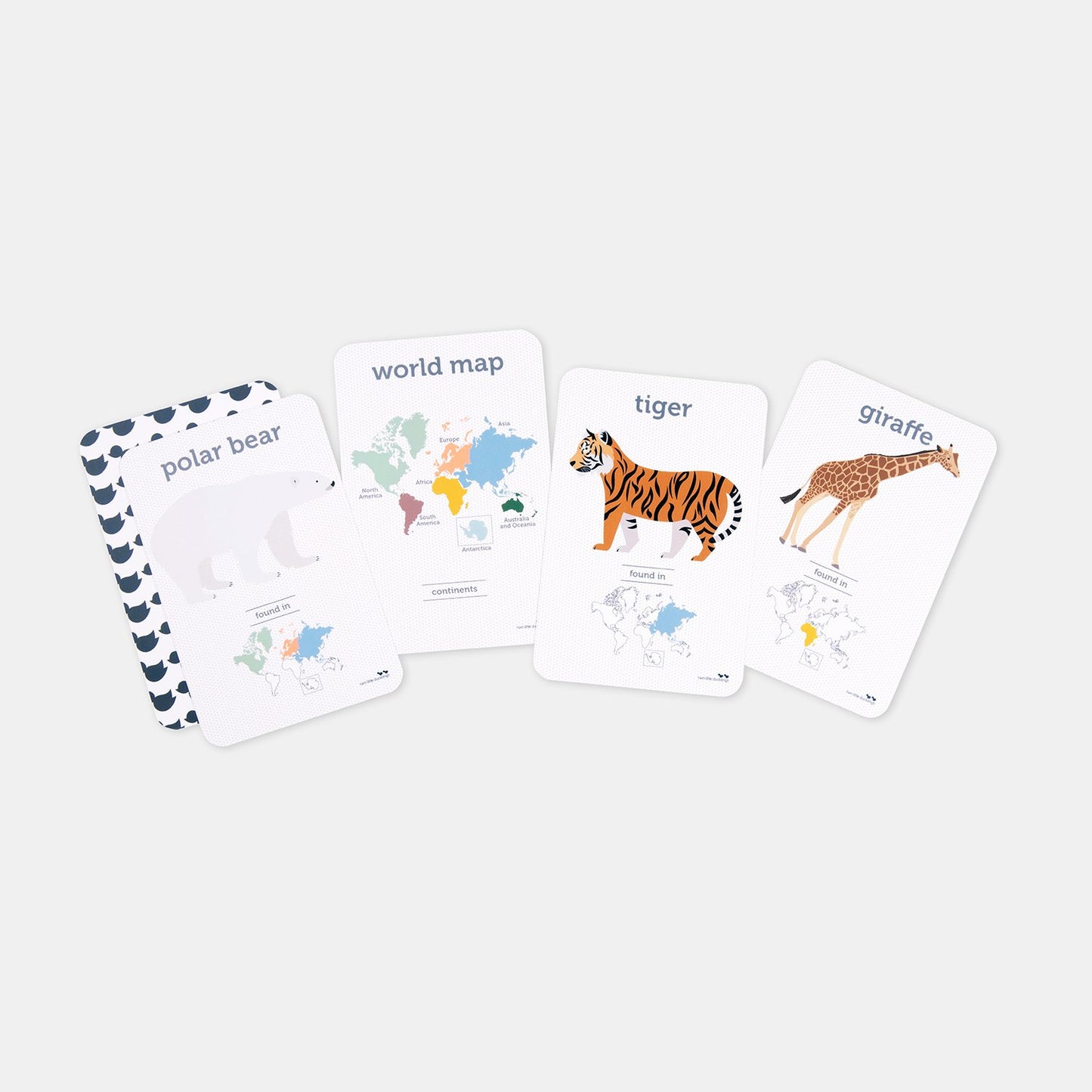 Flash Cards World Animals