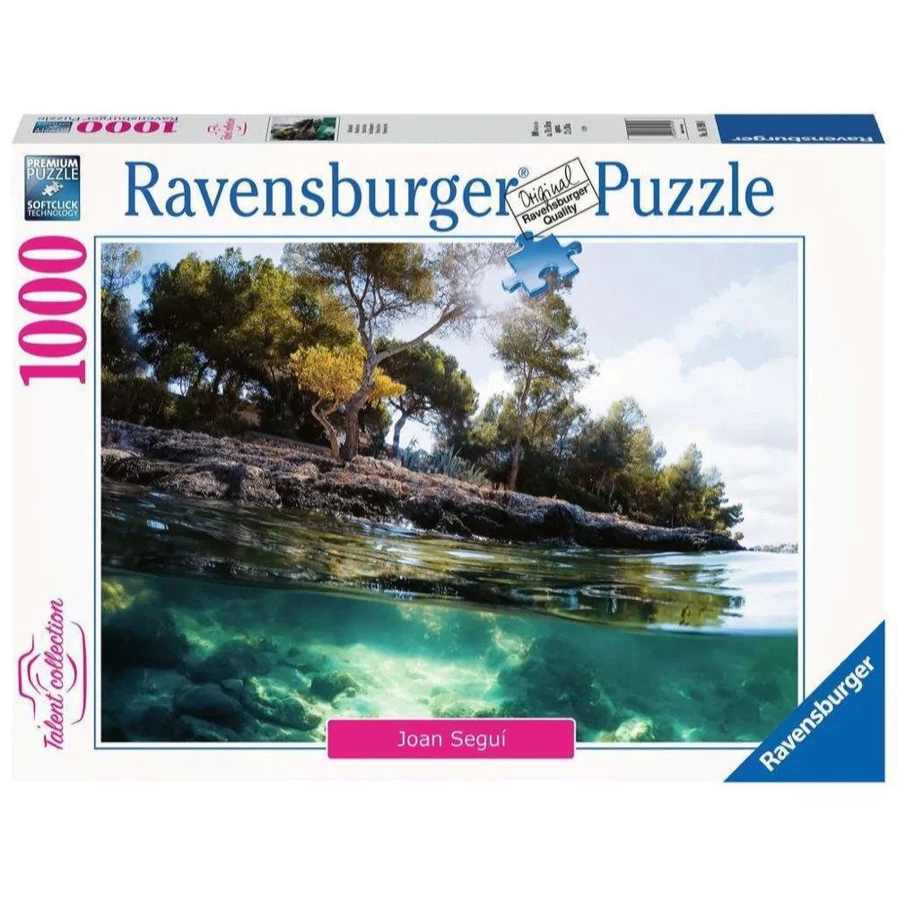 Ravensburger 1000pc Jigsaw Puzzle Points Of View