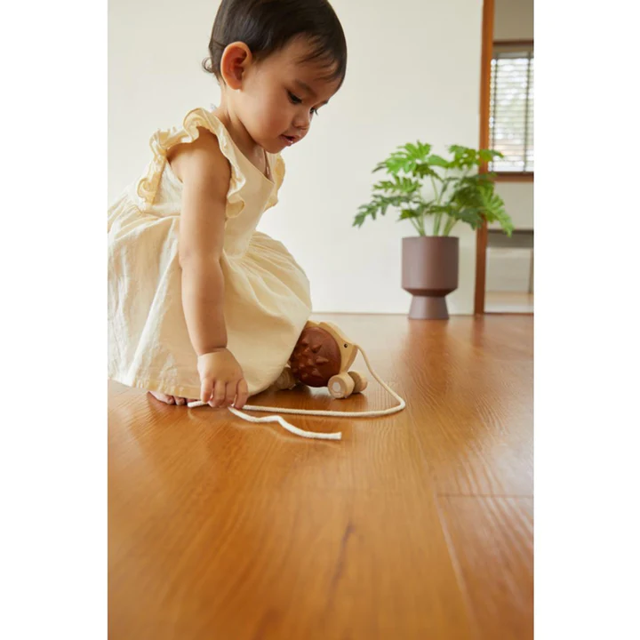 PlanToys Pull Along Hedgehog