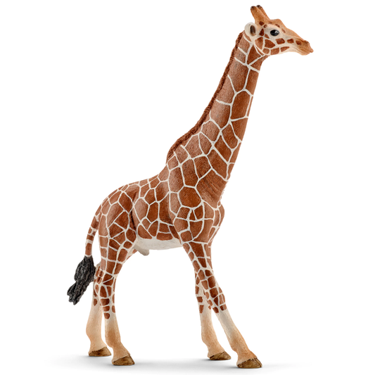 Schleich Giraffe Male