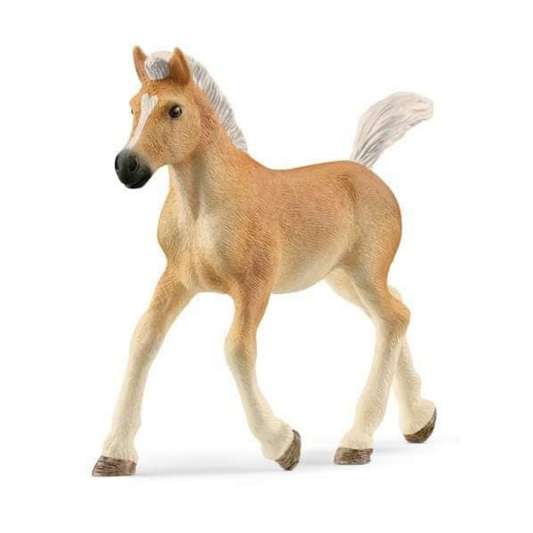 Schleich Haflinger Foal